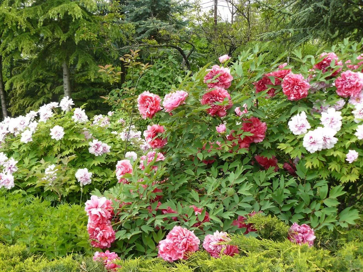 Garten Vendeghaz إغير