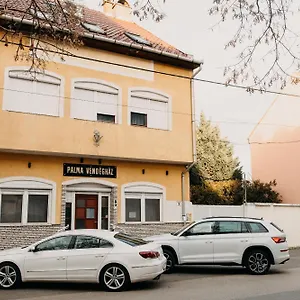 Palma Vendeghaz Szeged